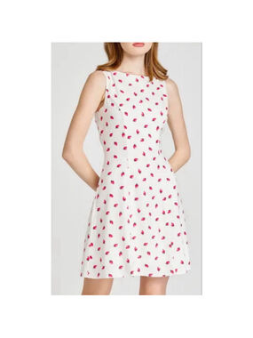 WAYF Strawberry Print Linen-Blend Fit & Flare Dress — Size L — NWOT